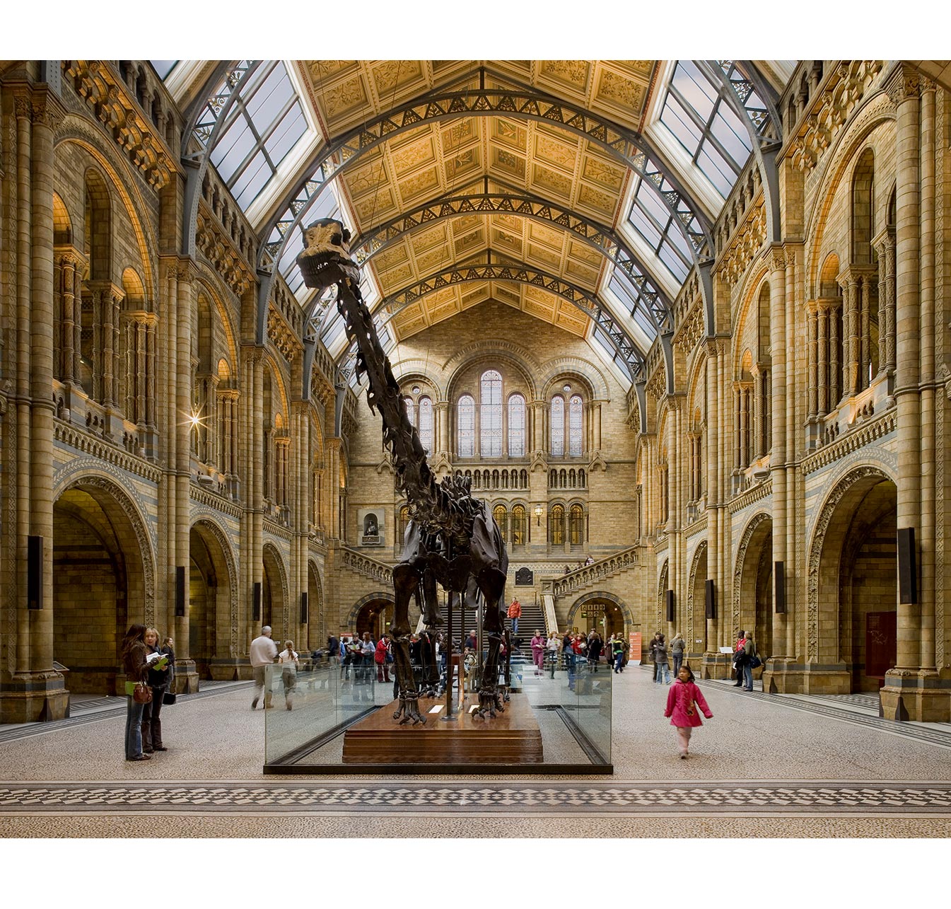 Paul Grundy. Great Hall Natural History Museum