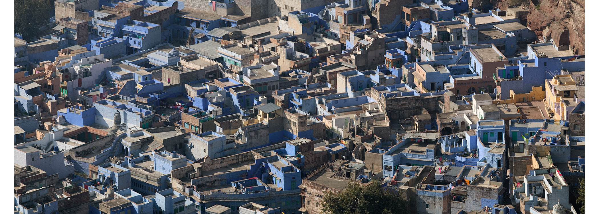 Paul Grundy. Jodhpur